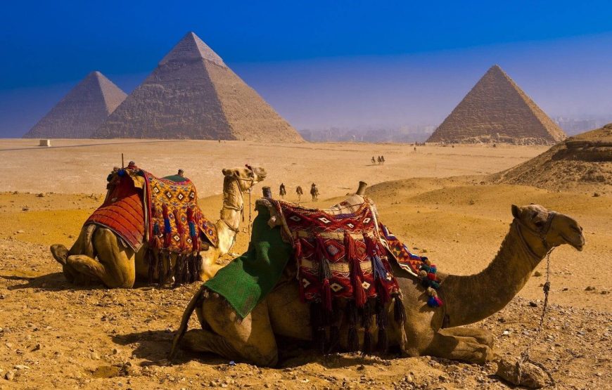 Half day tours to Giza Pyramids and Sphinx