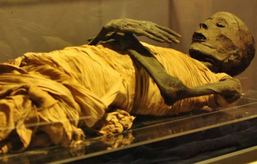 Half Day Tour to Egyptian Museum in Cairo