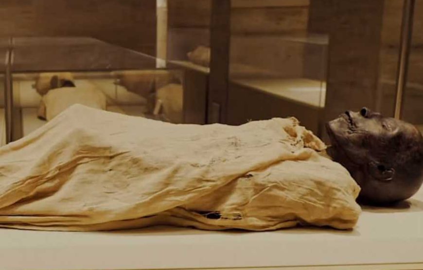 Cairo Half Day tour to The National Museum of Egyptian Civilization