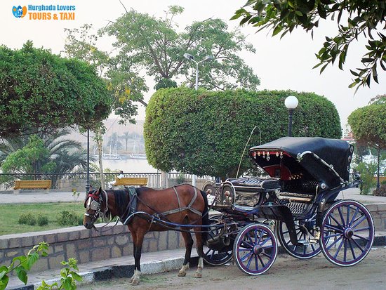 Honeymoon Package in Egypt