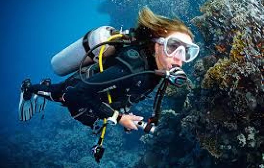 Luxury Egypt Tour (Cairo & Luxor & Aswan & Hurghada)