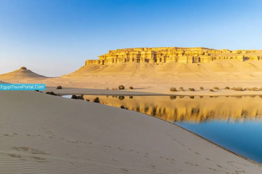 Day Tour to El Fayoum from Cairo