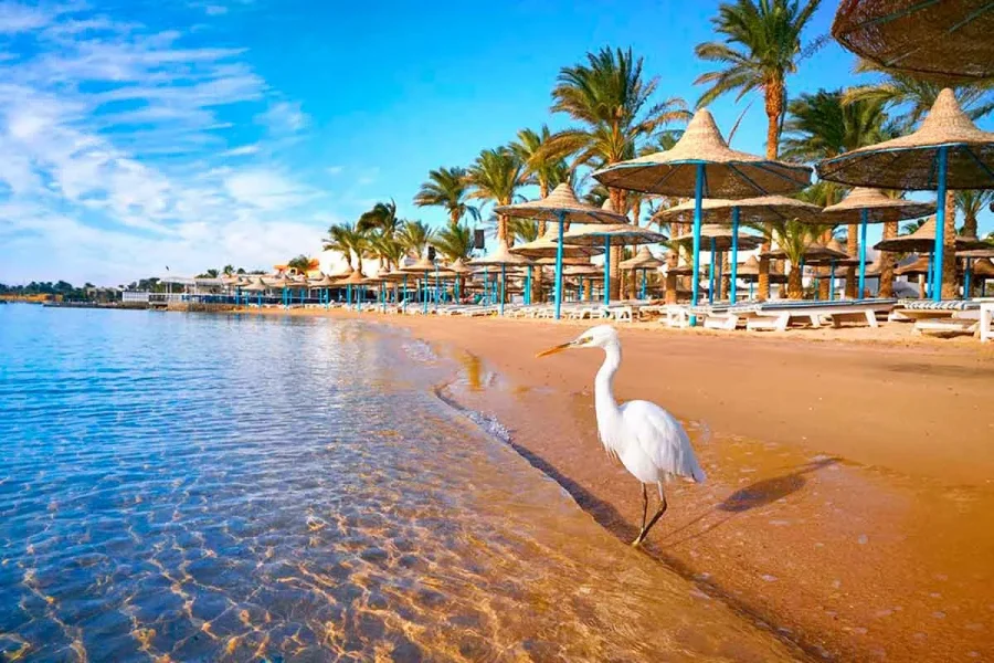 Hurghada Holiday